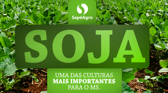 estatico_a_importancia_da_soja_para_o_mato_grosso_do_sul_sape_agro