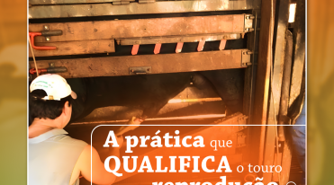 pratica_que_qualifica