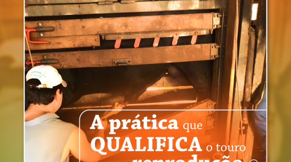 pratica_que_qualifica